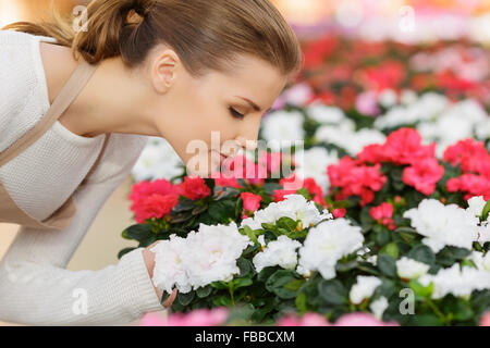 Charmante Florist riechenden Blumen Stockfoto