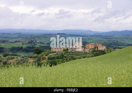 Palazzo Mongli 02 Stockfoto