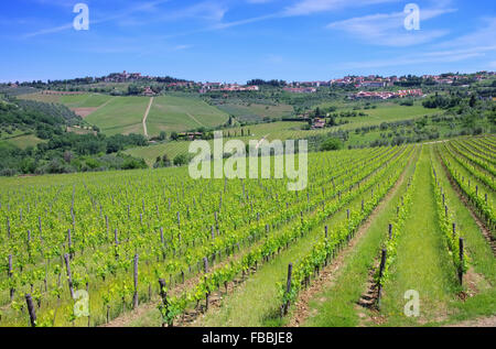 Panzano in Chianti 03 Stockfoto