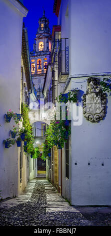 Spanien, Andalusien, Cordoba. Calleja de Las Flores, Straße von Blumen in der alten Stadt in der Abenddämmerung Stockfoto