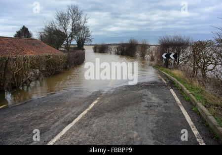 Cawood Bridge, Yorkshire, Großbritannien. 30. Dezember 2015 Flut bedeckte Straße am Cawoood Yorkshire nach der Fluss Ouse seine Banken platzen Stockfoto