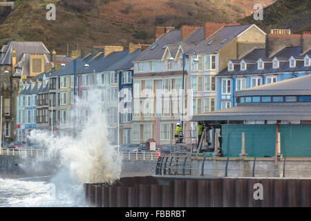Aberystwyth, Wales, UK. 14. Januar 2016. Wetter: Aberystwyth UK weiterhin 14. Januar 2016 - Wellen die West Wales Küste Teig. Arbeiter auf der neue Musikpavillon in Aberystwyth funktionieren weiterhin wie es Flut, die Wellen, die durch eine vorübergehende Meer Verteidigung zurückgehalten wird erreicht. Bildnachweis: Trebuchet Fotografie/Alamy Live-Nachrichten Stockfoto