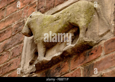 Lion Fries, Darlington, County Durham Stockfoto