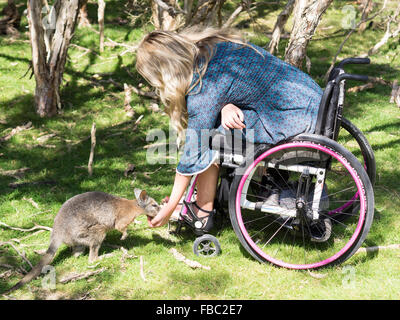 Junge Frau mit einem Rollstuhl besuchen ein Wildschutzgebiet Stockfoto