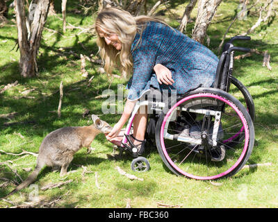 Junge Frau mit einem Rollstuhl besuchen ein Wildschutzgebiet Stockfoto