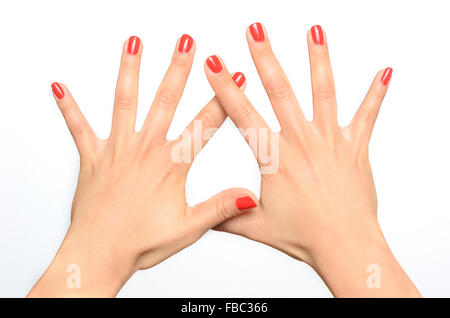 Junge Frau zeigt ihre manikürten Nägel lackiert mit modischen roten Lack in eine Nahaufnahme der Draufsicht über einen weißen backgr Stockfoto