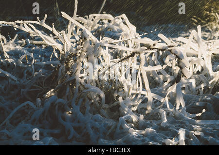 Rasen in einer erstaunlichen Form mit Wasserplätschern vereist. Stockfoto