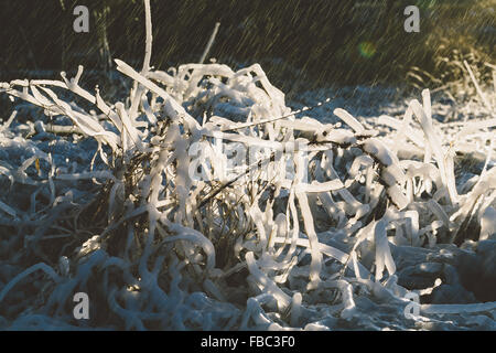 Rasen in einer erstaunlichen Form mit Wasserplätschern vereist. Stockfoto