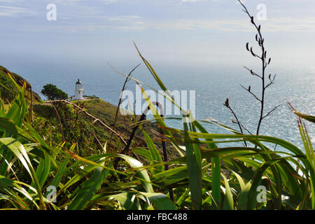 Cape Reinga/Te Rerenga Wairua, Leuchtturm an der Nordspitze Neuseelands Stockfoto