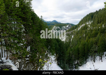 Schneebedeckte Berge in Oregon während des Winters. Stockfoto