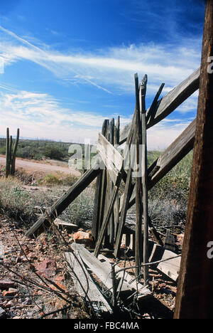 Wüste von Arizona in der Nähe von Phoenix und Tempe mit einigen Kakteen und einen alten Zaun gegen blauen Himmel. Stockfoto