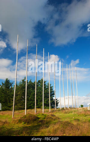 Skulptur auf dem Tyrebagger Wald geht - in der Nähe von Aberdeen, Schottland. Stockfoto