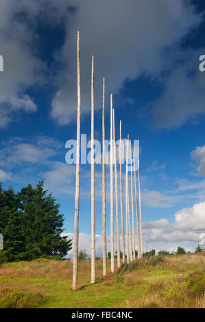 Skulptur auf dem Tyrebagger Wald geht - in der Nähe von Aberdeen, Schottland. Stockfoto