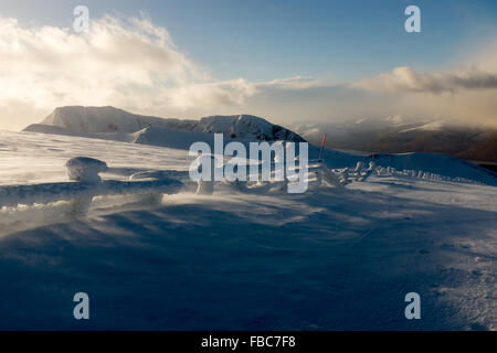 Fort William, Großbritannien. 14. Januar 2016. Tolle Schneeverhältnisse an der Spitze der Nevis reichen Fort William - mit blauem Himmel und öffnen Unpisted Neuschnee Credit: Kenny Ferguson/Alamy Live News Stockfoto