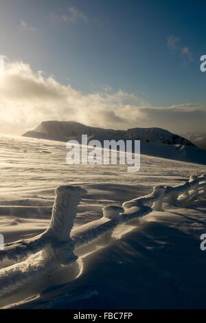 Fort William, Großbritannien. 14. Januar 2016. Tolle Schneeverhältnisse an der Spitze der Nevis reichen Fort William - mit blauem Himmel und öffnen Unpisted Neuschnee Credit: Kenny Ferguson/Alamy Live News Stockfoto