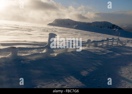 Fort William, Großbritannien. 14. Januar 2016. Tolle Schneeverhältnisse an der Spitze der Nevis reichen Fort William - mit blauem Himmel und öffnen Unpisted Neuschnee Credit: Kenny Ferguson/Alamy Live News Stockfoto