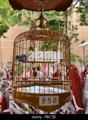 Vogelkäfig auf dem Markt der Yuen Po Bird Garden in Mongkok, Hong Kong Stockfoto