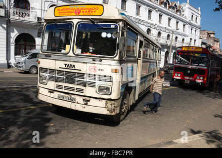 An einer Bushaltestelle auf DS Senanayake Veediya in Kandy, Sri Lanka Stockfoto