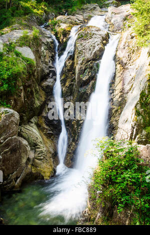 Fließende Bergszene Wasserfall mit grüner Vegetation im Wald, selektiven Fokus Stockfoto