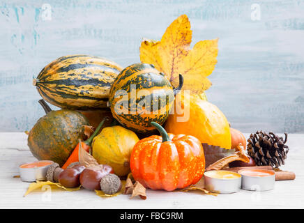 Vielzahl von Herbst Kürbisse Sortiment auf lackiertem Holz Stockfoto