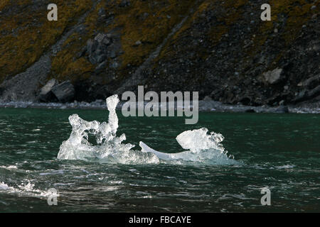 Schmelzende Eisscholle driften in Burgerbukta, Bucht im Norden der Hornsund Fjord, Svalbard, Spitzbergen, Norwegen Stockfoto