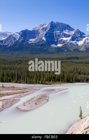 Athabasca River mit Glazial-Schmelzwasser mit Steinmehl vor Rocky Mountains, Jasper Nationalpark, Alberta, Kanada Stockfoto