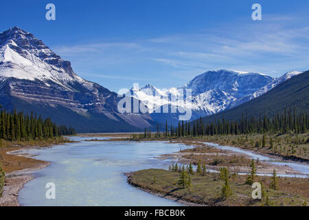 Athabasca River mit Glazial-Schmelzwasser mit Steinmehl vor Rocky Mountains, Jasper Nationalpark, Alberta, Kanada Stockfoto