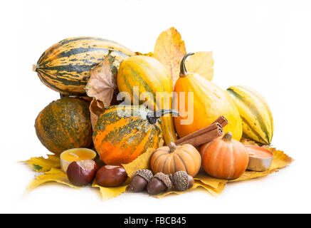 Vielzahl von Herbst Kürbisse-Sortiment, Isolated on White Stockfoto