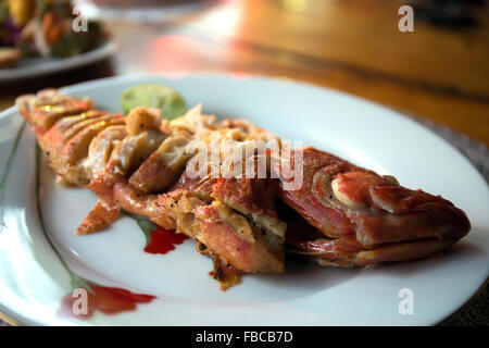 Gegrillter Red Snapper Fisch serviert im Restaurant, Arugam Bay, Sri Lanka, Asien Stockfoto