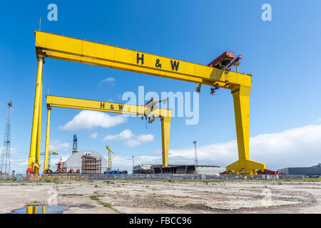 Harland & Wolff Krane Samson & Goliath in der H & W-Werft, wo die Titanic gebaut wurde. Stockfoto