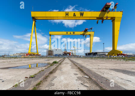 Harland & Wolff Krane Samson & Goliath in der H & W-Werft, wo die Titanic gebaut wurde. Stockfoto