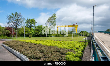 Die Harland & Wolff Krane Samson und Goliath stehen aufrecht in die Skyline von Belfast. Stockfoto