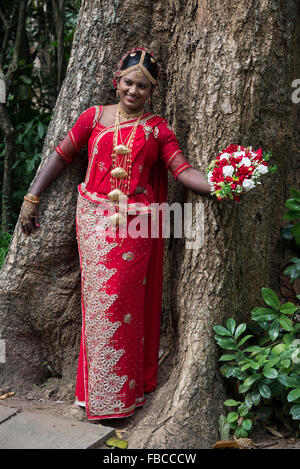 Eine hinduistische Braut posiert für ihre Hochzeitsfotos an einem Baum im Royal Peradeniya Botanical Gardens in Kandy, Sri Lanka Stockfoto