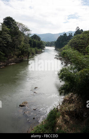 Der Mahaweli Fluß ist Sri Lanka längste Fluss schlängelt seinen Weg entlang der Kante von der Peradeniya botanische Garten in Kandy Stockfoto