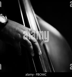 Finger spielen Kontrabass in Nahaufnahme detail Stockfoto