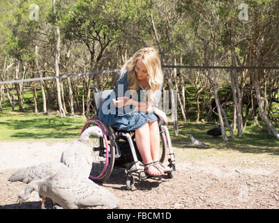 Junge Frau mit einem Rollstuhl besuchen ein Wildschutzgebiet Stockfoto