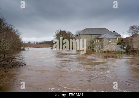 Winter 2016 ist eines der feuchtesten auf aufnehmen und die Mühle am Heatherslaw auf dem Fluss bis überflutet Stockfoto