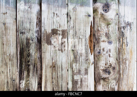 Holzplatten, die Anzeichen von Fäulnis durch Feuchtigkeit Stockfoto