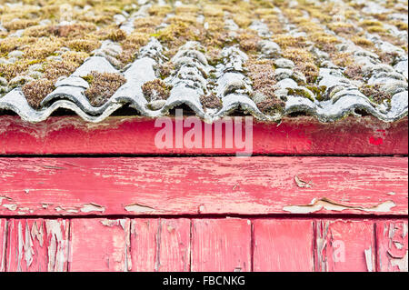 Teil einer alten rot Holz Schuppen mit abblätternde Farbe und Moos auf dem Dach Stockfoto