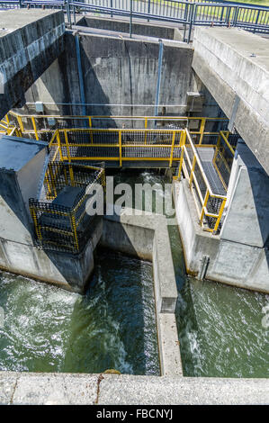 Konkrete Passagen und Separatoren der Fischtreppe am Bonneville Dam.  Cascade Locks, Oregon, USA Stockfoto