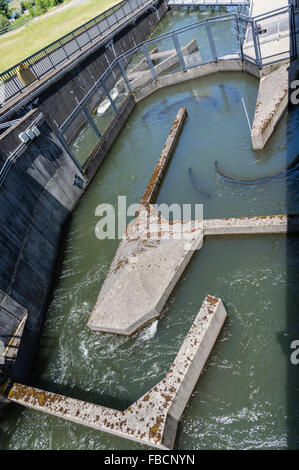 Konkrete Passagen und Separatoren der Fischtreppe am Bonneville Dam.  Cascade Locks, Oregon, USA Stockfoto