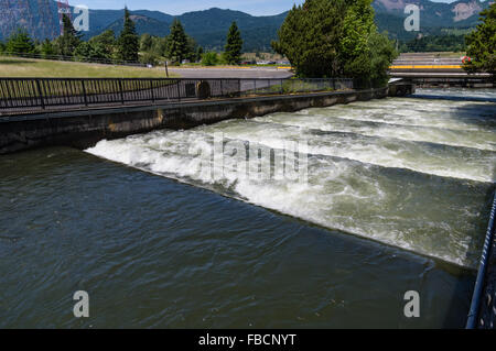 Wasser fließt durch die Fischtreppe am Bonneville Dam.  Cascade Locks, Oregon, USA Stockfoto