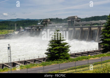 Wasser aus den Toren am Bonneville Dam Wasserkraftwerk entlassen wurden.  Cascade Locks, Oregon, USA Stockfoto