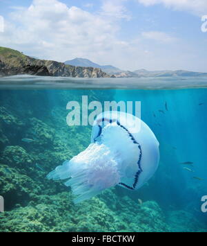 Split-Bild oberhalb und unterhalb der Wasseroberfläche, felsigen Küste am Horizont mit einer Qualle Unterwasser, Mittelmeer, Frankreich Stockfoto