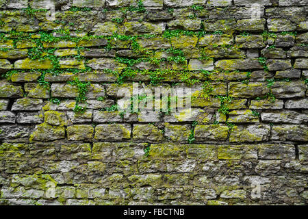 Stein grau Extrudieren Ziegel Stockfoto