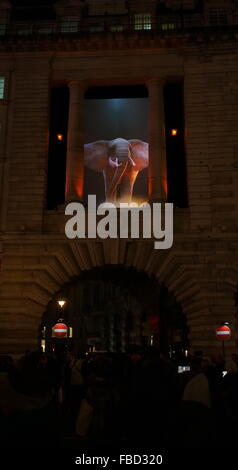 London, England, Vereinigtes Königreich: 14. Januar 2015: Elephantastic von Catherien Garret leuchtet in den Bögen der Luft Street, direkt an der Regent Street. Bildnachweis: Siehe Li/Alamy Live News Stockfoto