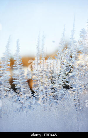 Eisige Muster auf Glas im winter Stockfoto