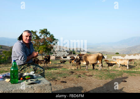 Georgien, Samzche-Dschawacheti, Achalziche, Landschaft Beim Kloster Sapara, Kuhherde Mit Hirte Stockfoto