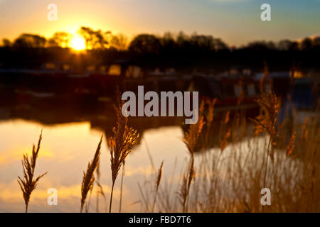 Rufford, Lancashire, UK. 15. Januar 2016. Ein schöner Sonnenaufgang erhebt sich über die sanften Hügel der Pennine, erfüllten die ruhenden Kanalboote in Rufford Marina in Lancashire. [Bild von öffentlichen Flächen] Bildnachweis: Cernan Elias/Alamy Live-Nachrichten Stockfoto