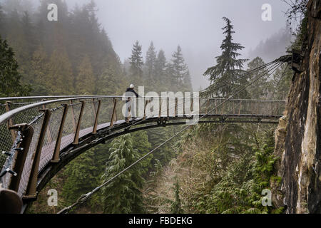 Cliff Walk am Capilano Suspension Bridge Park, Vancouver, Britisch-Kolumbien, Kanada Stockfoto